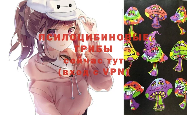 ECSTASY Алексеевка