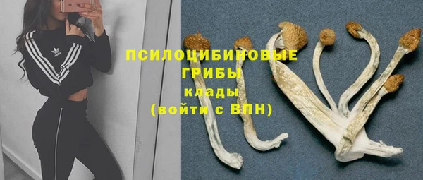 дмт Абдулино